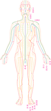 画像の説明 画像の説明